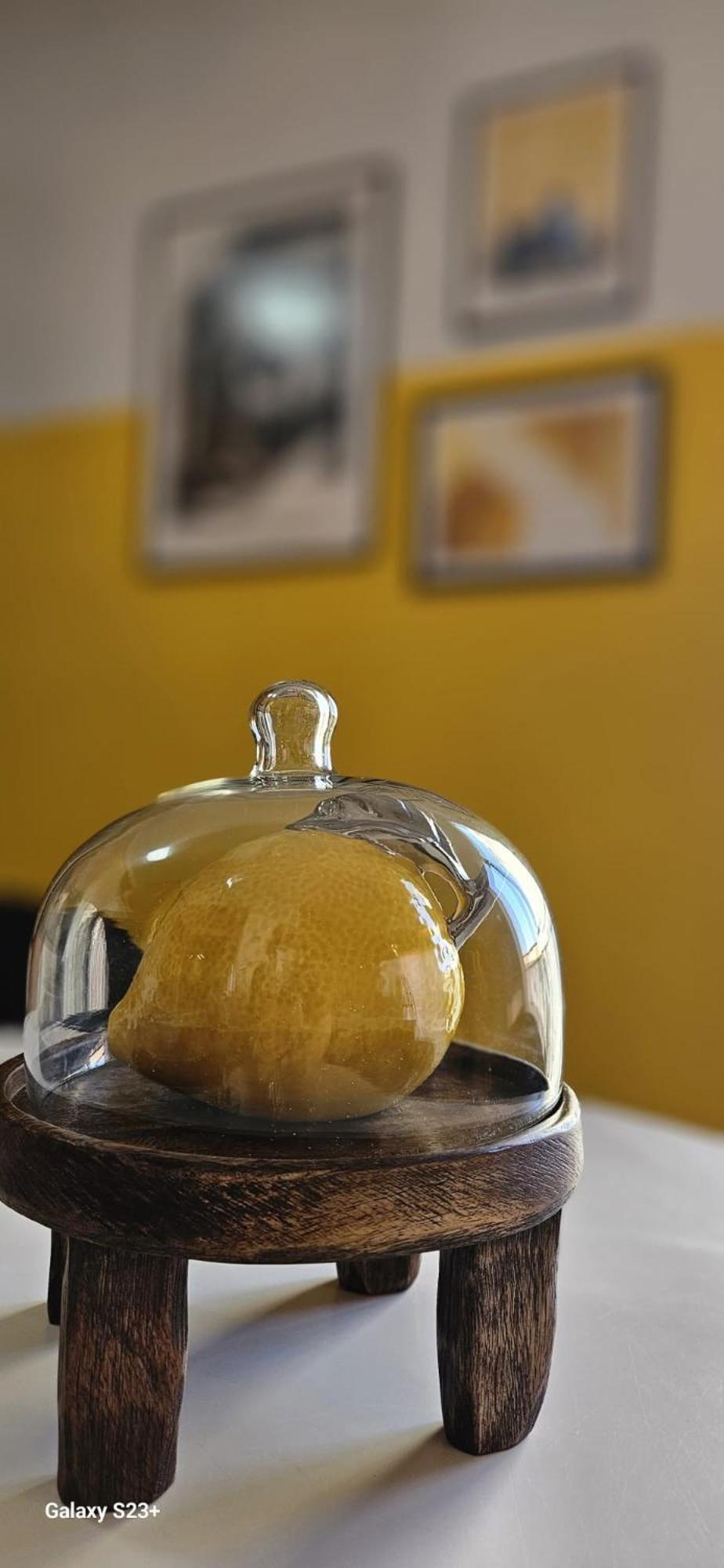 Apartamento Yellow غاروشا المظهر الخارجي الصورة