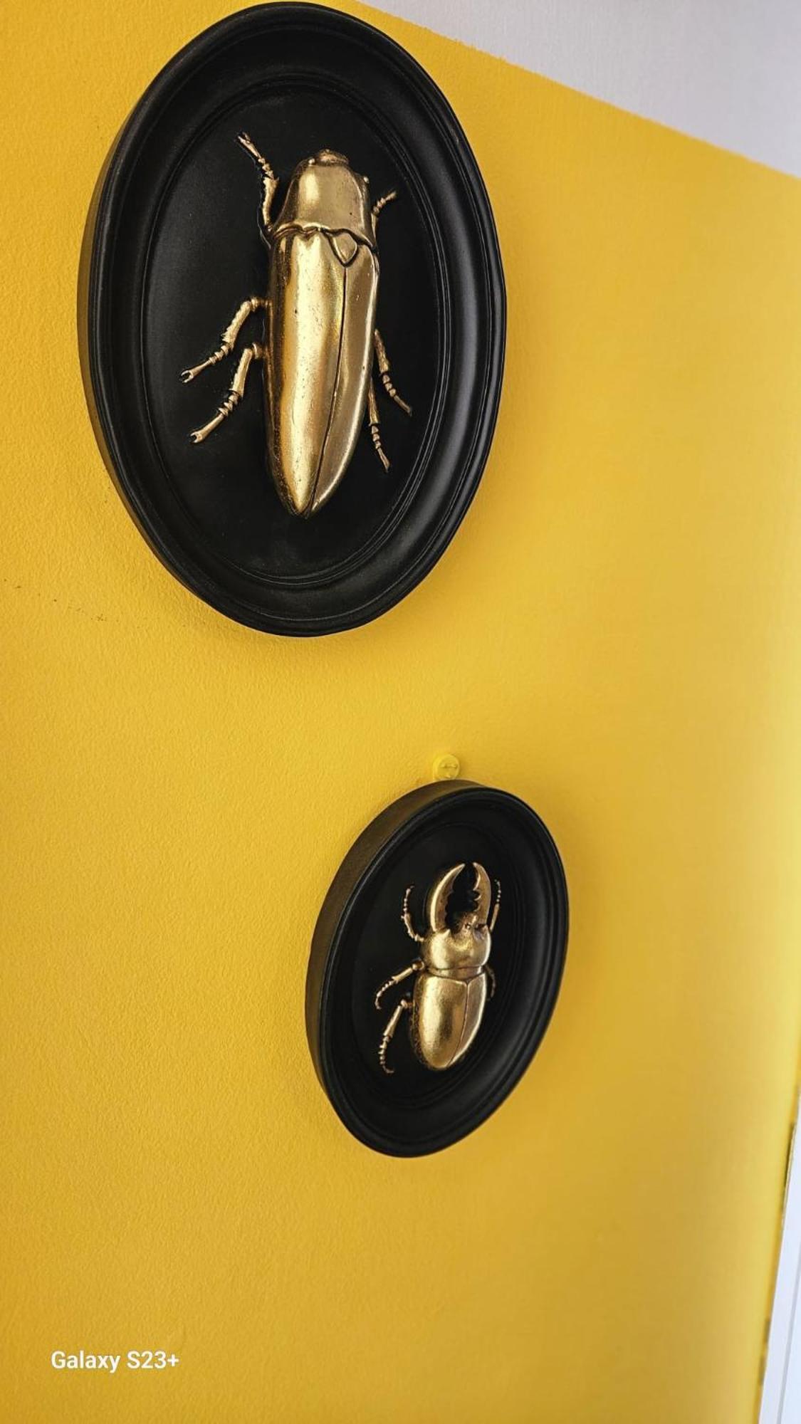Apartamento Yellow غاروشا المظهر الخارجي الصورة